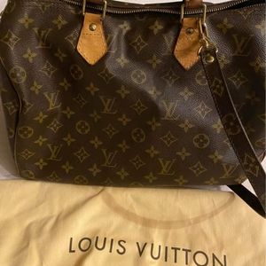 Louis bag